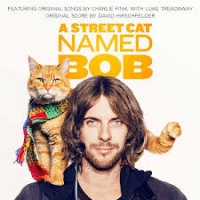 a street cat named bob - roger spottiswoode