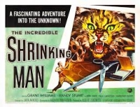 the incredible shrinking man - jack arnold