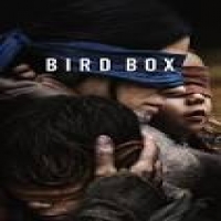 bird box - susanne bier